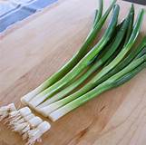 Green Onions Growing Tips