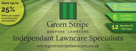 Green Stripe Lawn Care Wiltshire