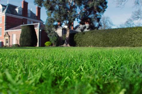 Greenthumb Lawn Treatment Service