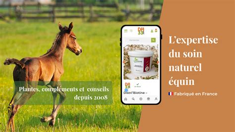 Grh Distri à Laruscade