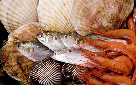 Großhändler für Fisch und Meeresfrüchte