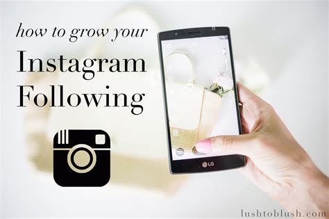 Growing your Instagram with Qlizz