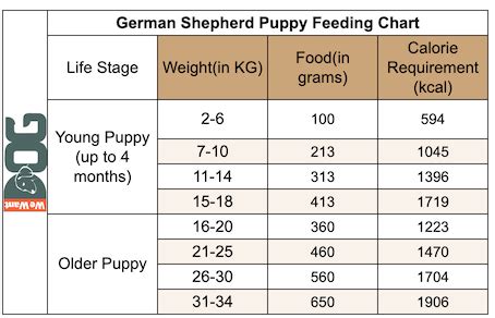 Gsd Food Chart