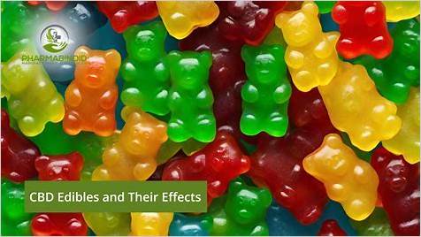 Gummy Bear Cbd: A Comprehensive Guide to the Benefits and Uses of CBD Gummies