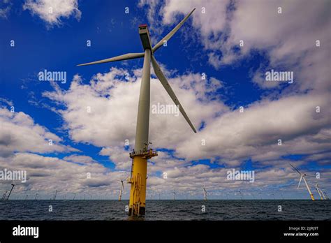 Gwynt Y Mor Offshore Wind Farm Ltd