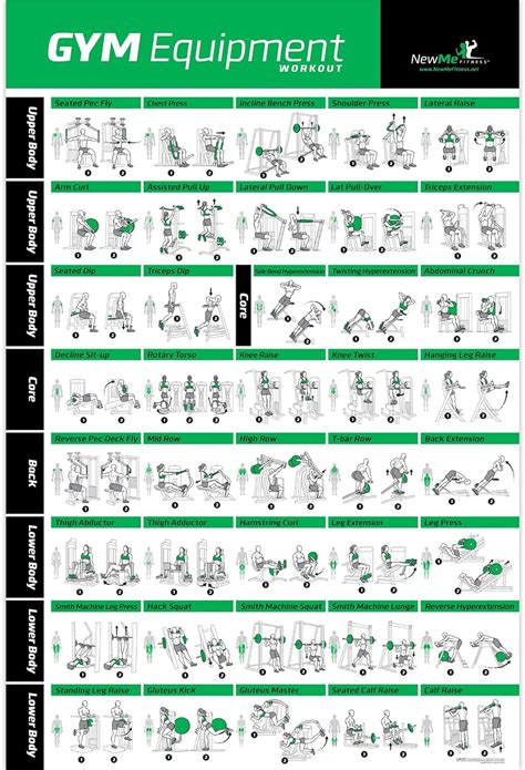 Gym Exercise Chart