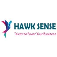 HAWK SENSE SECURITY SYSTEM PVT LTD