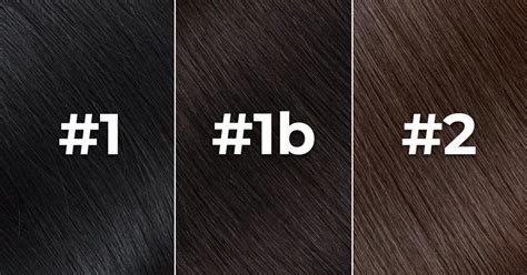 Hair Colour Chart 1b