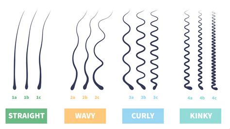 Hair Types Chart Male