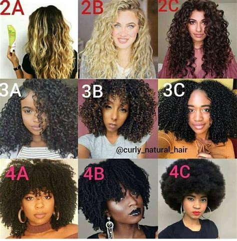 Hair Types Chart Natural Hair