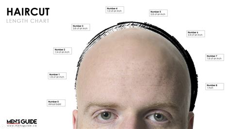 Haircut Length Chart Male