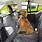 Hammock Car Seat Pet Protector
