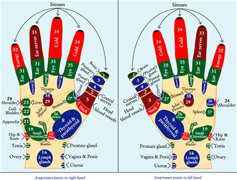 Hand Meridians Chart