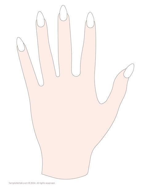 Hand Nail Template