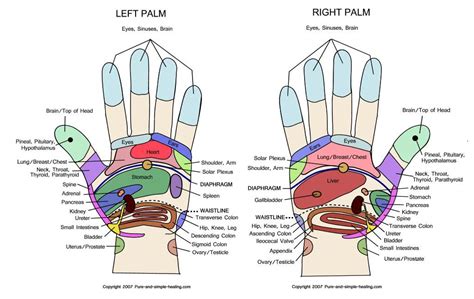 Hand Pressure Point Chart