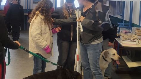 Handicap Services à Pibrac