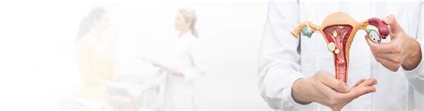 Harley Street Gynaecology - Private Gynaecologist in London