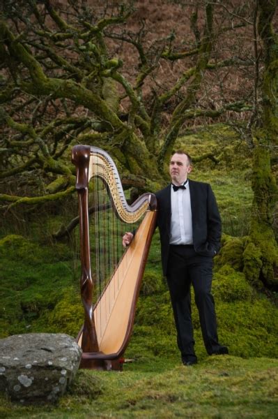 Harpist Wales - Llywelyn Ifan Jones