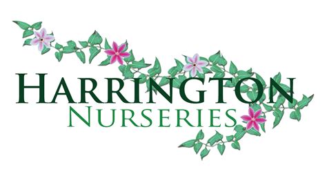 Harrington Nurseries