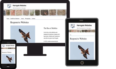 Harrogate-Websites.co.uk