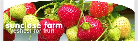 Harrold Fruit Farming Ltd.