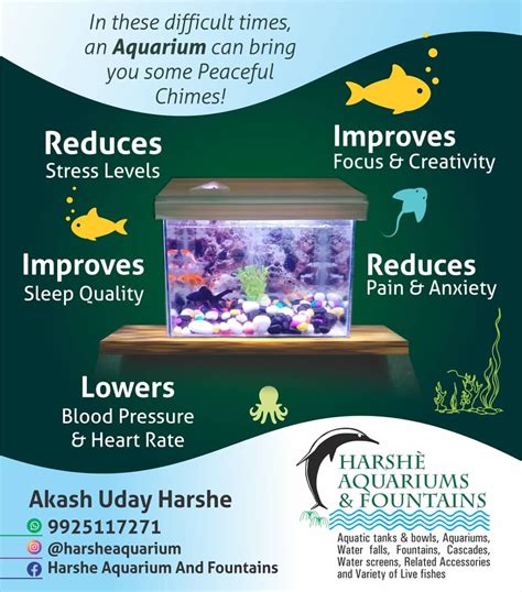 Harshe Aquarium and Fountains