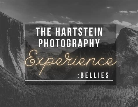 Hartstein Photography LLC