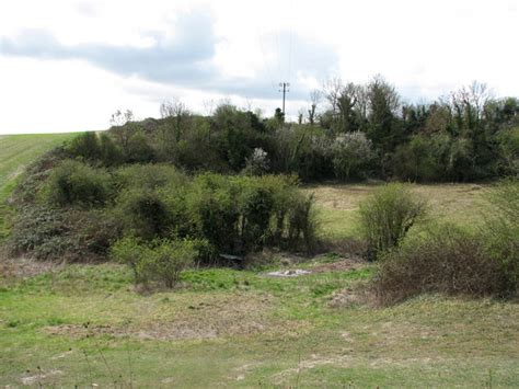 Haslingfield old chalk pit