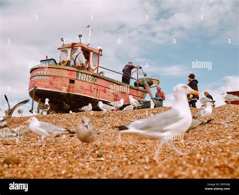 Hastings Land Based Fishing Fleet