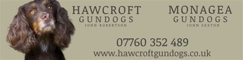 Hawcroft Gundogs