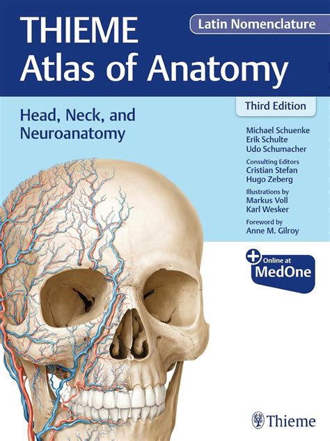 download Head, Neck, and Neuroanatomy (THIEME Atlas of Anatomy), Latin nomenclature