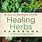 Healing Herbs Book