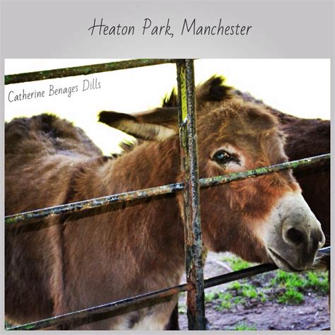 Heaton Park Donkey Shelter