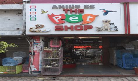 Heaven Pet Shop - Best Pet Shop in Bailey Road Patna