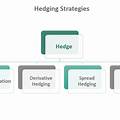 Hedging Strategy