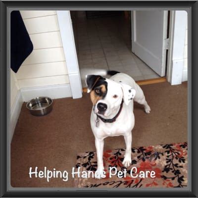 Helping Hand Pet Services