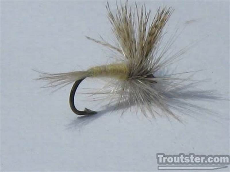 Hendrickson Fly Pattern