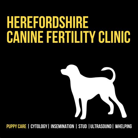 Herefordshire Canine Fertility Clinic