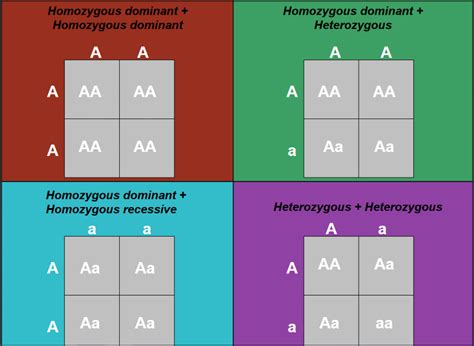 Heterozygous Chart