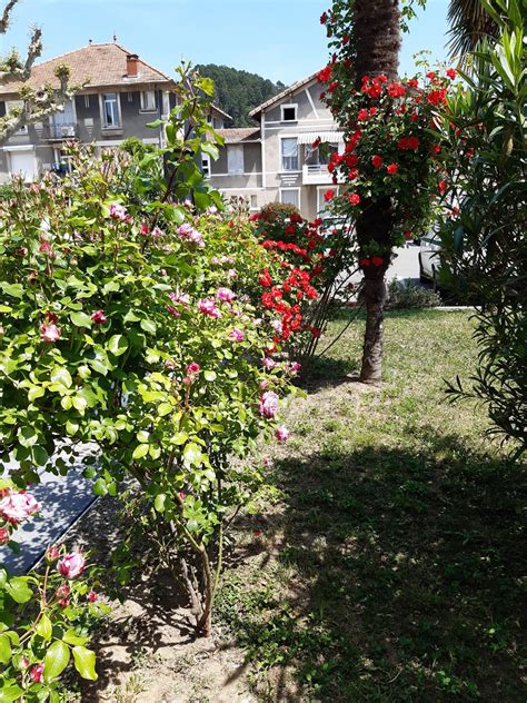 Hi'Styling à Labégude