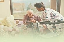 Hibiscus Domiciliary Care Agency
