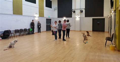 Hilton Dogs Training Academy