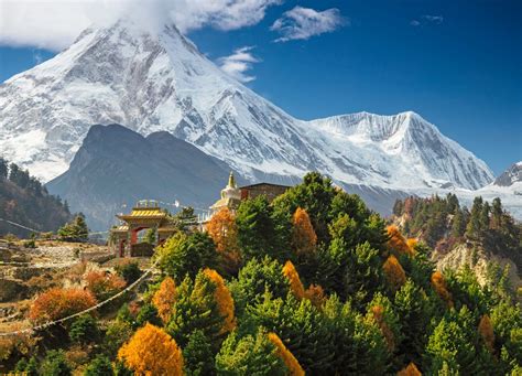 Himalayan Trek Roots Adeventure