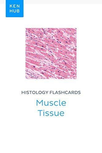 download Histology flashcards: Muscle Tissue