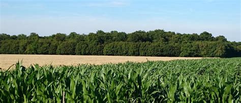 Hlp Cercottes à Cercottes