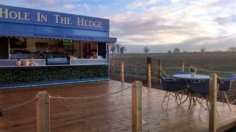 Hole in the hedge cafe