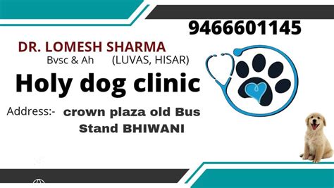 Holy dog clinic Bhiwani