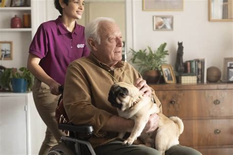 Home Instead Mansfield - Home Care & Companionship