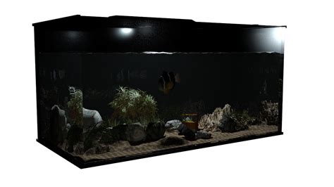 Home To Home Fish Aquarium