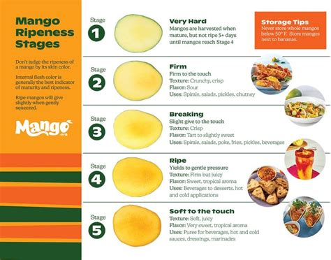 Honey Mango Ripeness Chart